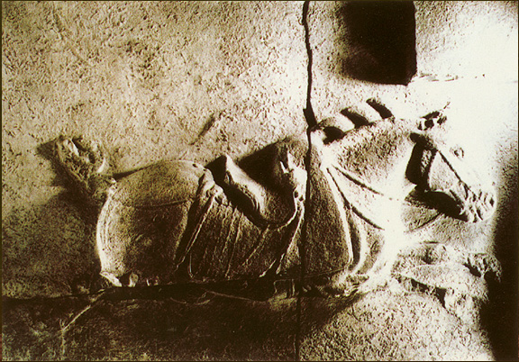 昭陵六駿(組圖)