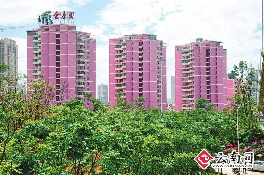 昆明迎南博整治市容市貌：讓春城這扇窗口更靚麗