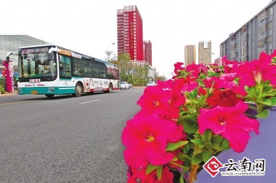 昆明迎南博整治市容市貌:讓春城這扇窗口更靚麗