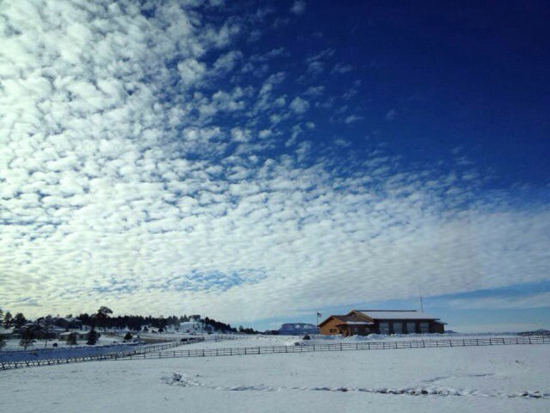 美國、歐洲、菲律賓 天下華人共有一個“春節(jié)夢”
