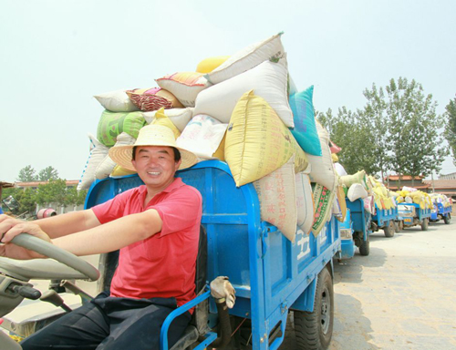 河南寧陵：農(nóng)民售糧排長(zhǎng)龍