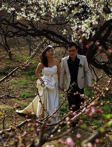 到濟(jì)南南部賞花去(圖)