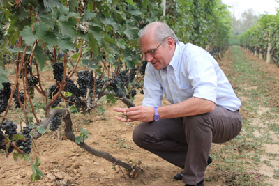 張裕建設(shè)全國六大優(yōu)質(zhì)葡萄基地