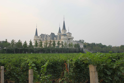 張裕建設(shè)全國六大優(yōu)質(zhì)葡萄基地