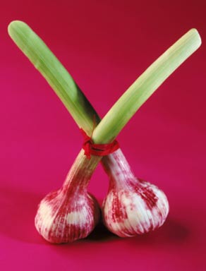 養(yǎng)生：大蒜抗癌蘋果改善心血管 8大長(zhǎng)壽食物（圖）