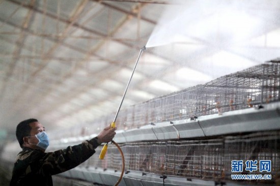 病前一周接觸過(guò)禽類(lèi)者為感染H7N9高危人群