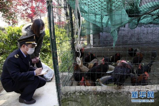 病前一周接觸過(guò)禽類者為感染H7N9高危人群