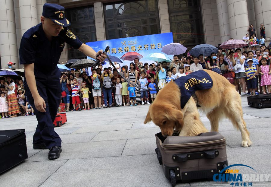 國際禁毒日前夕：與明星緝毒犬親密接觸