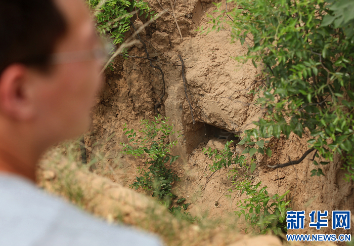 洛陽孟津疑似李煜墓引關(guān)注 專家稱證據(jù)不足無法確認