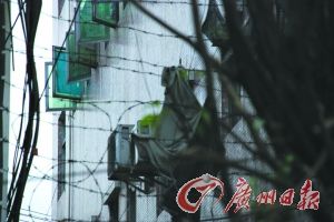 女子被疑不忠 遭男友虐待兩晝夜(圖)