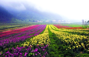 去武陵山避暑 每天只要三五十元