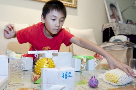 9歲男孩6進世博做記者 廢紙盒做出12場館(圖)