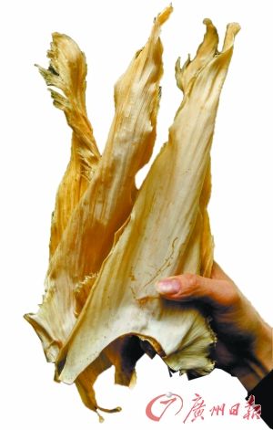 廣州一德路147家海味檔停售魚翅 26181.5公斤魚翅下架