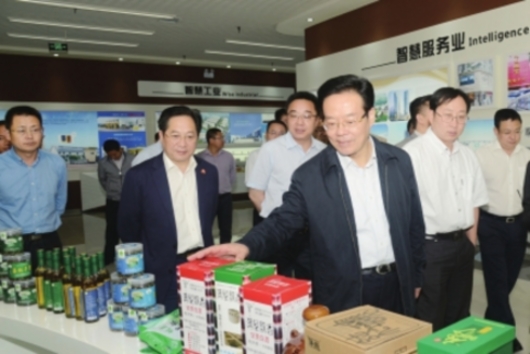 侯曉春到岳池調(diào)研農(nóng)村電商發(fā)展與脫貧攻堅等情況