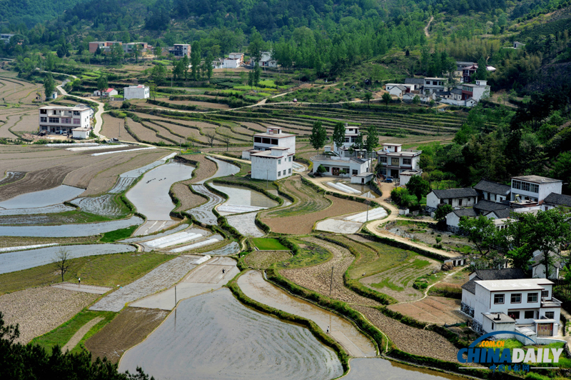 河南信陽(yáng)：田園風(fēng)光美景如畫卷