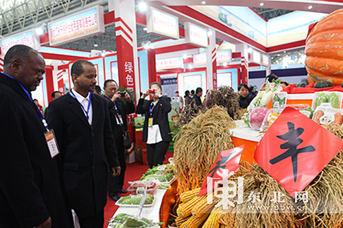 發(fā)展對(duì)俄中醫(yī)藥養(yǎng)生保健旅游 助力龍江