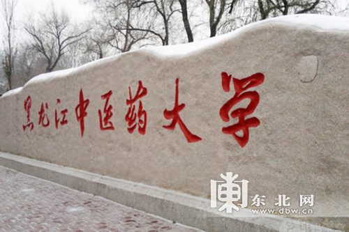 發(fā)展對(duì)俄中醫(yī)藥養(yǎng)生保健旅游 助力龍江