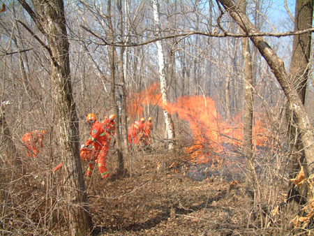 紅石林業(yè)局開展森林防火實(shí)戰(zhàn)練兵