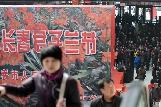 第九屆中國長春君子蘭節(jié)開幕