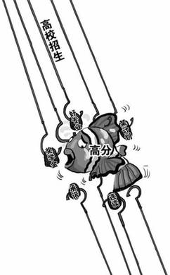 調(diào)查:超8成人認為爭搶高分考生凸顯大學(xué)教育悖論