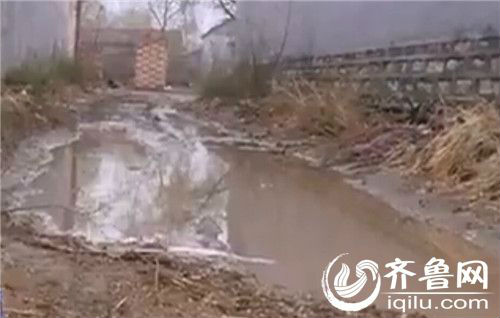 濱州官道高村衛(wèi)生惡劣 垃圾堆滿水塘道路泥濘難行