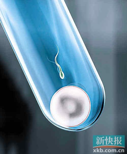 醫(yī)生為小三離婚又被其拋棄 7年后對(duì)方拿胚胎造子