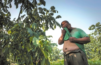 文玩核桃玩家熱衷
