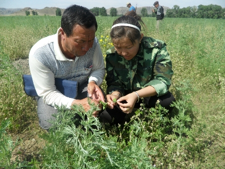青河縣大學(xué)生“村官”為農(nóng)民傳授技術(shù)(圖)