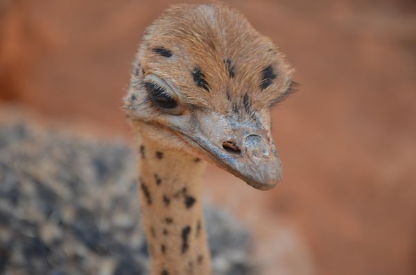 誰去參加五一巡游 誰去和小朋友一起過五一 市民來選！