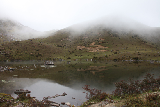 到轎子山牯牛寨野牛觀賞景