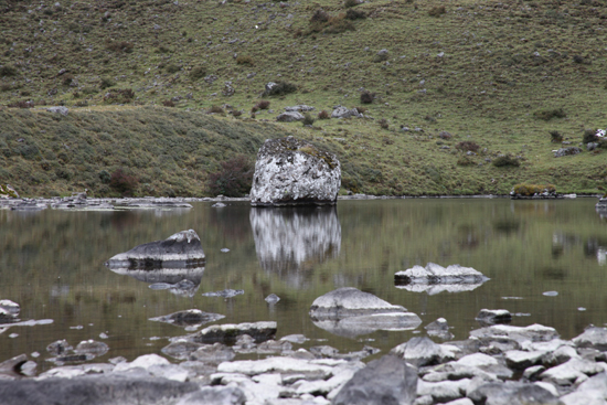 到轎子山牯牛寨野牛觀賞景