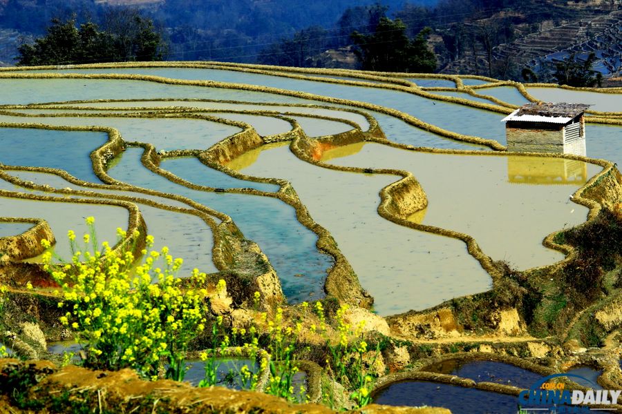 云南元陽自駕攝影之旅：哈尼梯田三月春夢幻