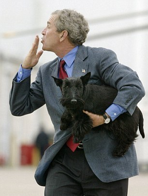 小布什愛犬、前美國“第一狗”巴尼去世 曾遭普京揶揄