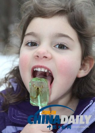 世界各地超級恐怖的蟲子大餐(組圖)