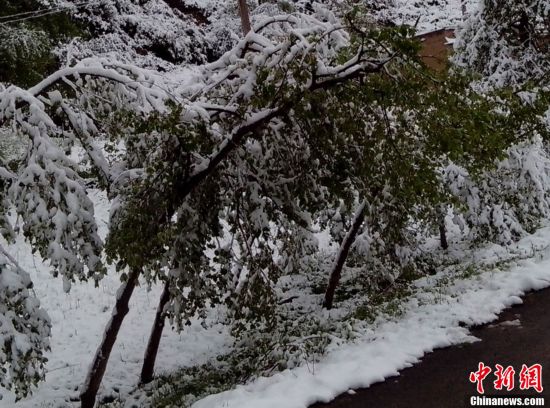甘肅：局地現(xiàn)“夏日飛雪”奇觀(圖)
