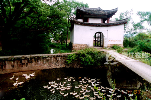 麗水堰頭村：千年古堰，傳承一段史