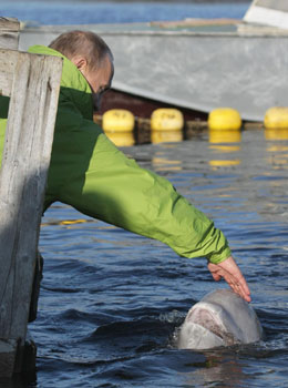普京坐潛艇千米湖底尋“寶”為白鯨安儀器親歷親為