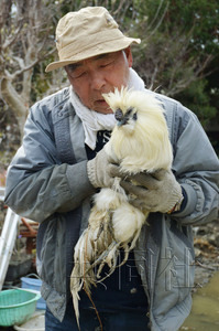 日本地震近一個月奇跡頻現(xiàn) 75歲老翁獲救、“雞堅強(qiáng)”生還