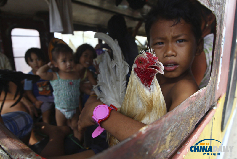 災(zāi)難無情人有情:盤點(diǎn)菲律賓災(zāi)區(qū)感人瞬間(組圖)