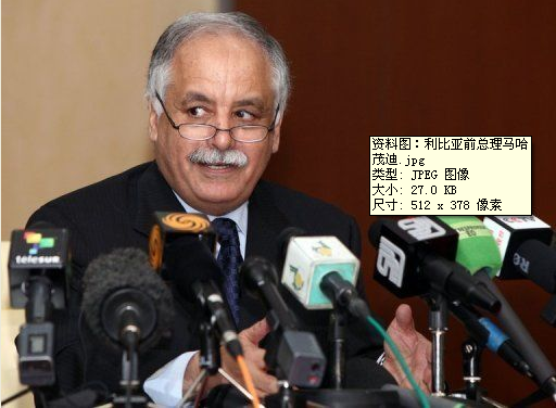 利比亞領(lǐng)導(dǎo)人感謝蘇丹供武器 突尼斯同意引渡利前總理