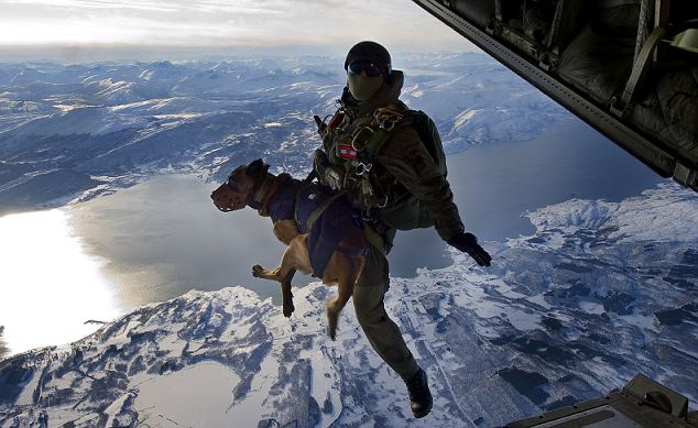 特種兵帶嗅探犬從一萬英尺高空練習(xí)跳傘
