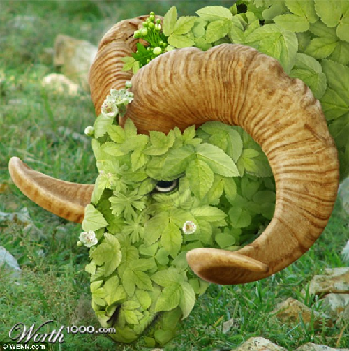 知名藝術(shù)網(wǎng)站擺圖片設(shè)計(jì)擂臺賽（組圖）