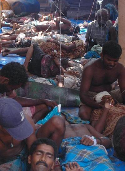 斯政府軍成功解救5萬余平民 猛虎組織誓不投降