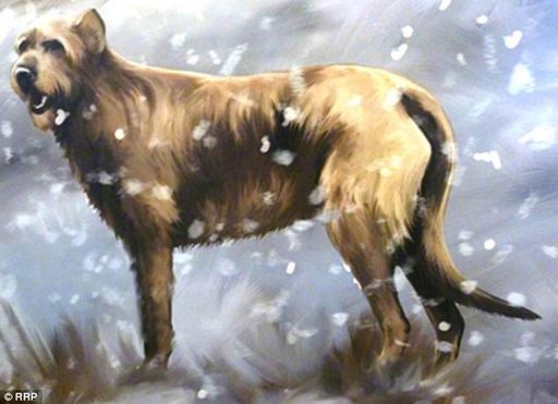 英出土鐵器時代護(hù)衛(wèi)犬尸體 忠誠“護(hù)寶”2000年