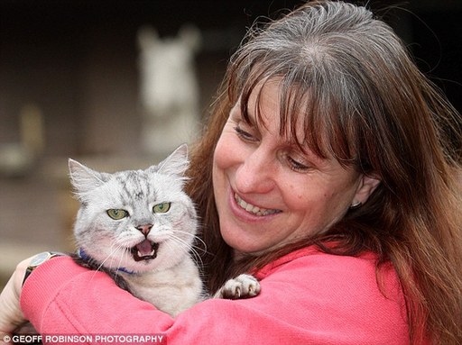 英國貓叫聲堪比波音737噪音 已申請吉尼斯世界紀(jì)錄