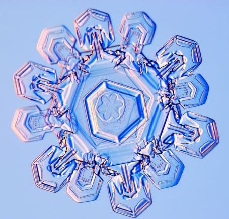 怎一個(gè)美字了得！美國(guó)科學(xué)家?guī)闶フQ看雪花(圖)