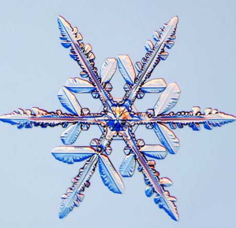 怎一個美字了得！美國科學家?guī)闶フQ看雪花(圖)