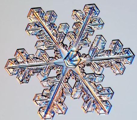 怎一個(gè)美字了得！美國(guó)科學(xué)家?guī)闶フQ看雪花(圖)