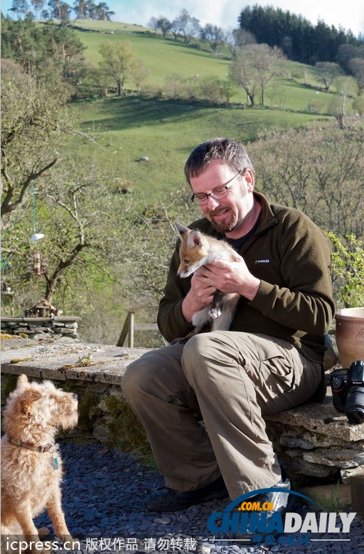 現(xiàn)實版“狐朋狗友”:兩只萌物打鬧嬉戲惹人愛