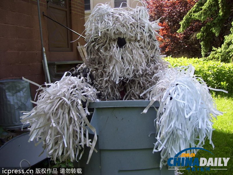 美國男子自認(rèn)為狗 愛穿狗服上街閑逛